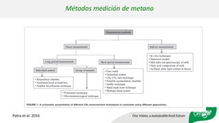 Validation of RUMINANT model towards accurate estimations of enteric methane emissions under tropical conditions to support Colombian NDC