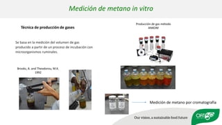 Validation of RUMINANT model towards accurate estimations of enteric methane emissions under tropical conditions to support Colombian NDC