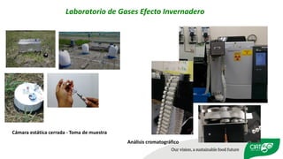 Validation of RUMINANT model towards accurate estimations of enteric methane emissions under tropical conditions to support Colombian NDC