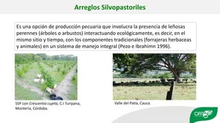 Validation of RUMINANT model towards accurate estimations of enteric methane emissions under tropical conditions to support Colombian NDC