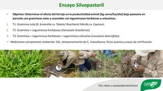 Validation of RUMINANT model towards accurate estimations of enteric methane emissions under tropical conditions to support Colombian NDC