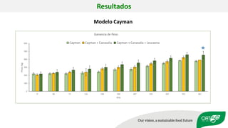 Validation of RUMINANT model towards accurate estimations of enteric methane emissions under tropical conditions to support Colombian NDC