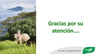 Validation of RUMINANT model towards accurate estimations of enteric methane emissions under tropical conditions to support Colombian NDC