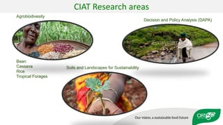 Validation of RUMINANT model towards accurate estimations of enteric methane emissions under tropical conditions to support Colombian NDC