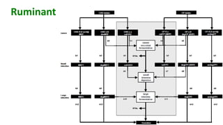 Validation of RUMINANT model towards accurate estimations of enteric methane emissions under tropical conditions to support Colombian NDC