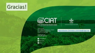 Validation of RUMINANT model towards accurate estimations of enteric methane emissions under tropical conditions to support Colombian NDC