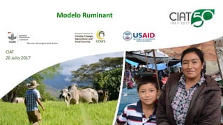 Validation of RUMINANT model towards accurate estimations of enteric methane emissions under tropical conditions to support Colombian NDC