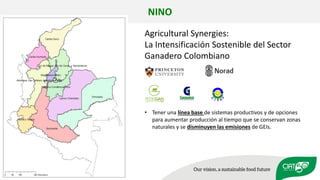 Validation of RUMINANT model towards accurate estimations of enteric methane emissions under tropical conditions to support Colombian NDC