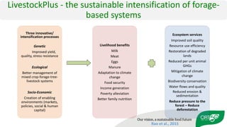 Validation of RUMINANT model towards accurate estimations of enteric methane emissions under tropical conditions to support Colombian NDC