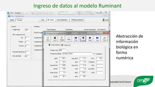 Validation of RUMINANT model towards accurate estimations of enteric methane emissions under tropical conditions to support Colombian NDC
