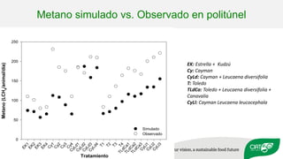 Validation of RUMINANT model towards accurate estimations of enteric methane emissions under tropical conditions to support Colombian NDC