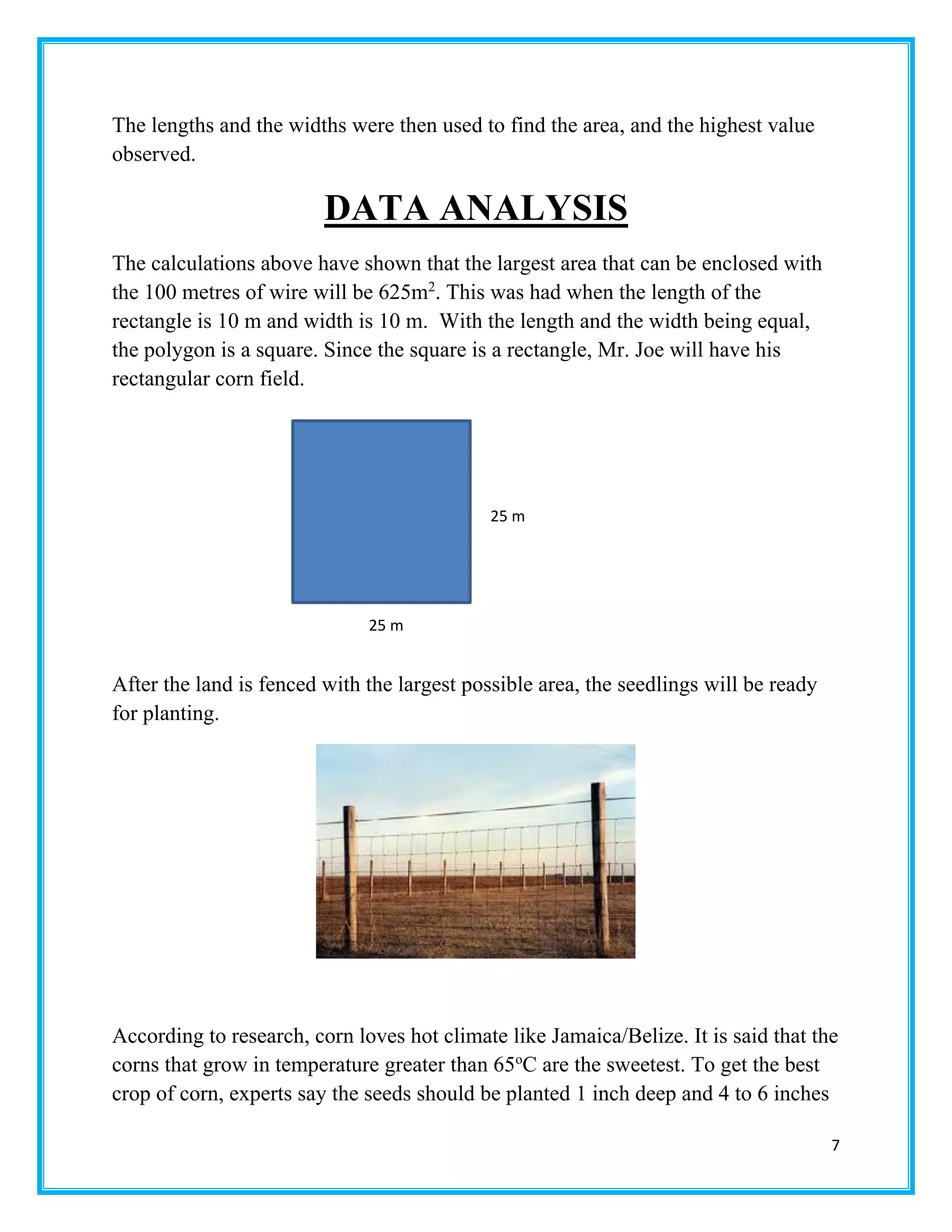 7
The lengths and the widths were then used to find the area, and the highest value
observed.
DATA ANALYSIS
The calculations above have shown that the largest area that can be enclosed with
the 100 metres of wire will be 625m2
. This was had when the length of the
rectangle is 10 m and width is 10 m. With the length and the width being equal,
the polygon is a square. Since the square is a rectangle, Mr. Joe will have his
rectangular corn field.
After the land is fenced with the largest possible area, the seedlings will be ready
for planting.
According to research, corn loves hot climate like Jamaica/Belize. It is said that the
corns that grow in temperature greater than 65o
C are the sweetest. To get the best
crop of corn, experts say the seeds should be planted 1 inch deep and 4 to 6 inches
25 m
25 m
 