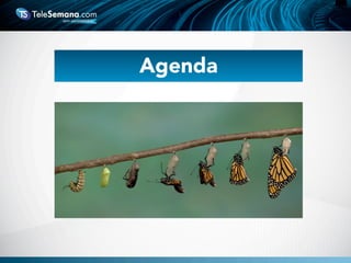 Agenda
 