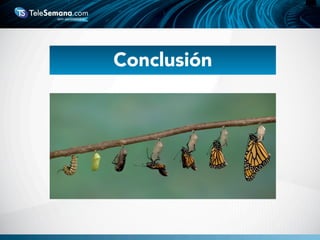 Conclusión
 