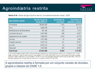 Agroindústria restrita A agroindústria restrita é formada por um conjunto variado de divisões, grupos e classes da CNAE 1.0 