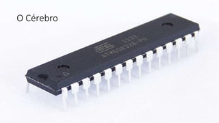 O Cérebro
 