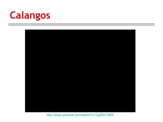 Calangos http://www.youtube.com/watch?v=TgyDbY-9tDI 