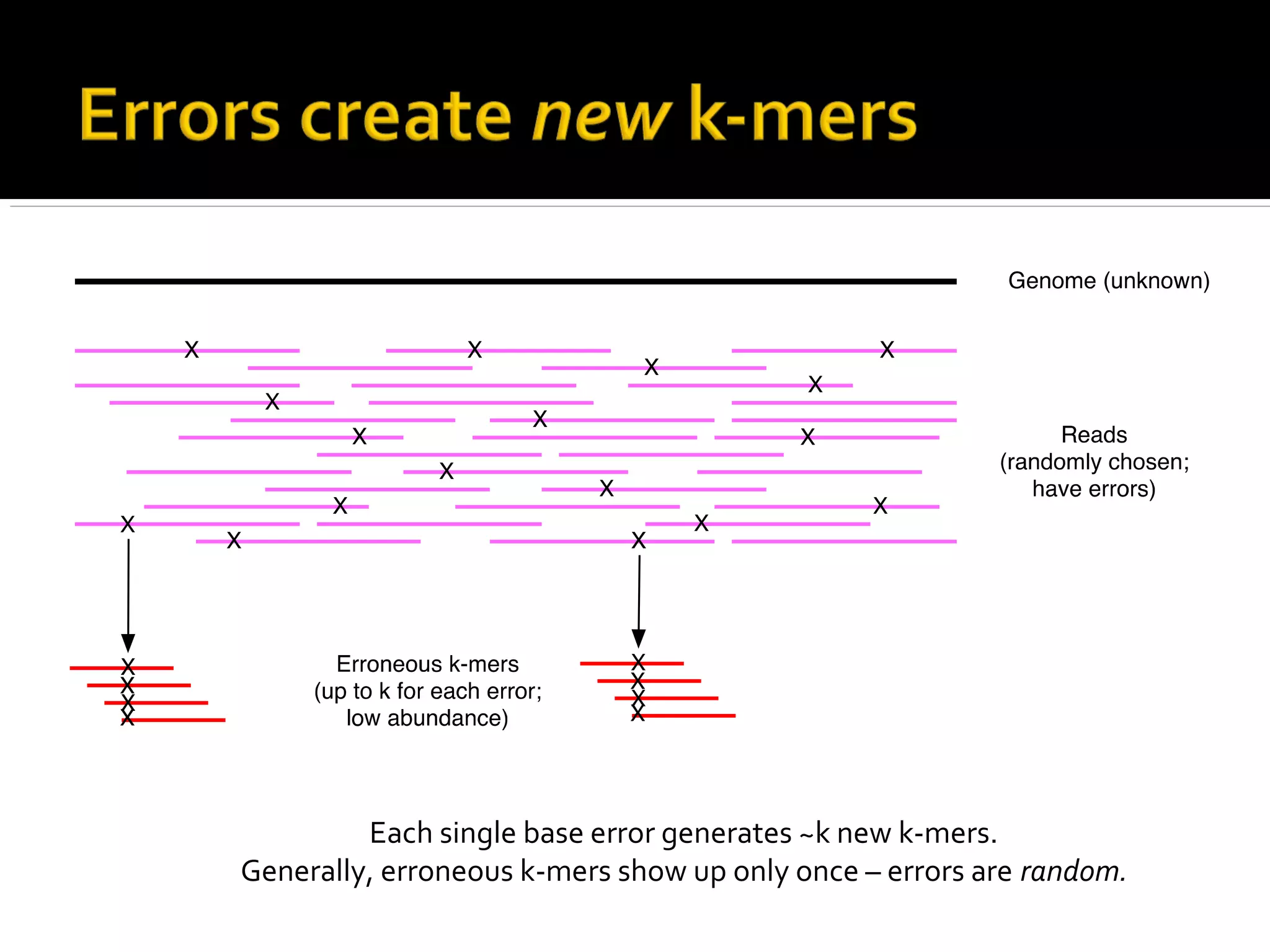 Each single base error generates ~k new k-mers.
Generally, erroneous k-mers show up only once – errors are random.
 