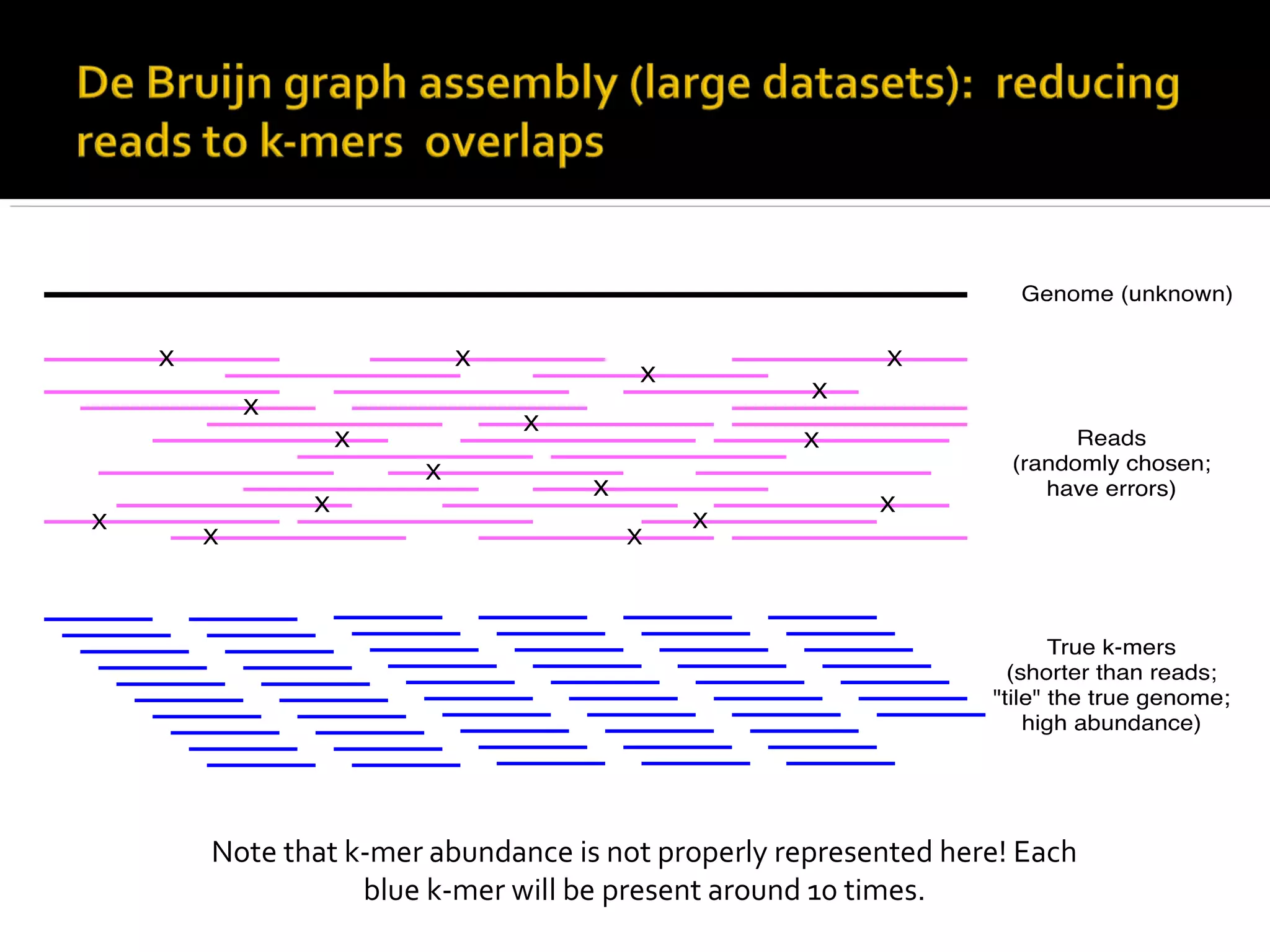 Note that k-mer abundance is not properly represented here! Each
blue k-mer will be present around 10 times.
 