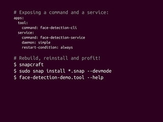 Snap Daemon Workshop: snap from zero to hero | PDF