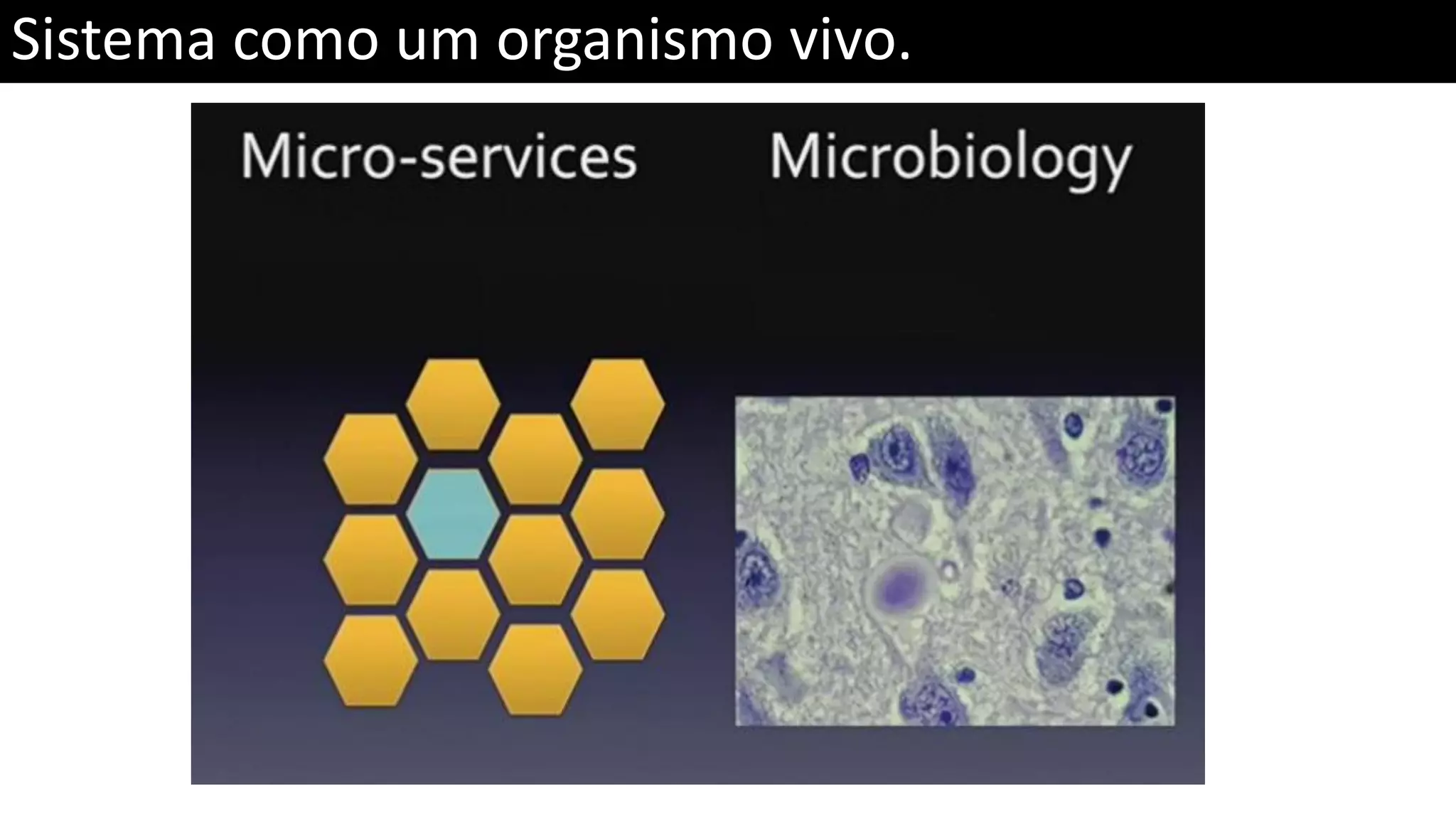 Sistema como um organismo vivo. 
