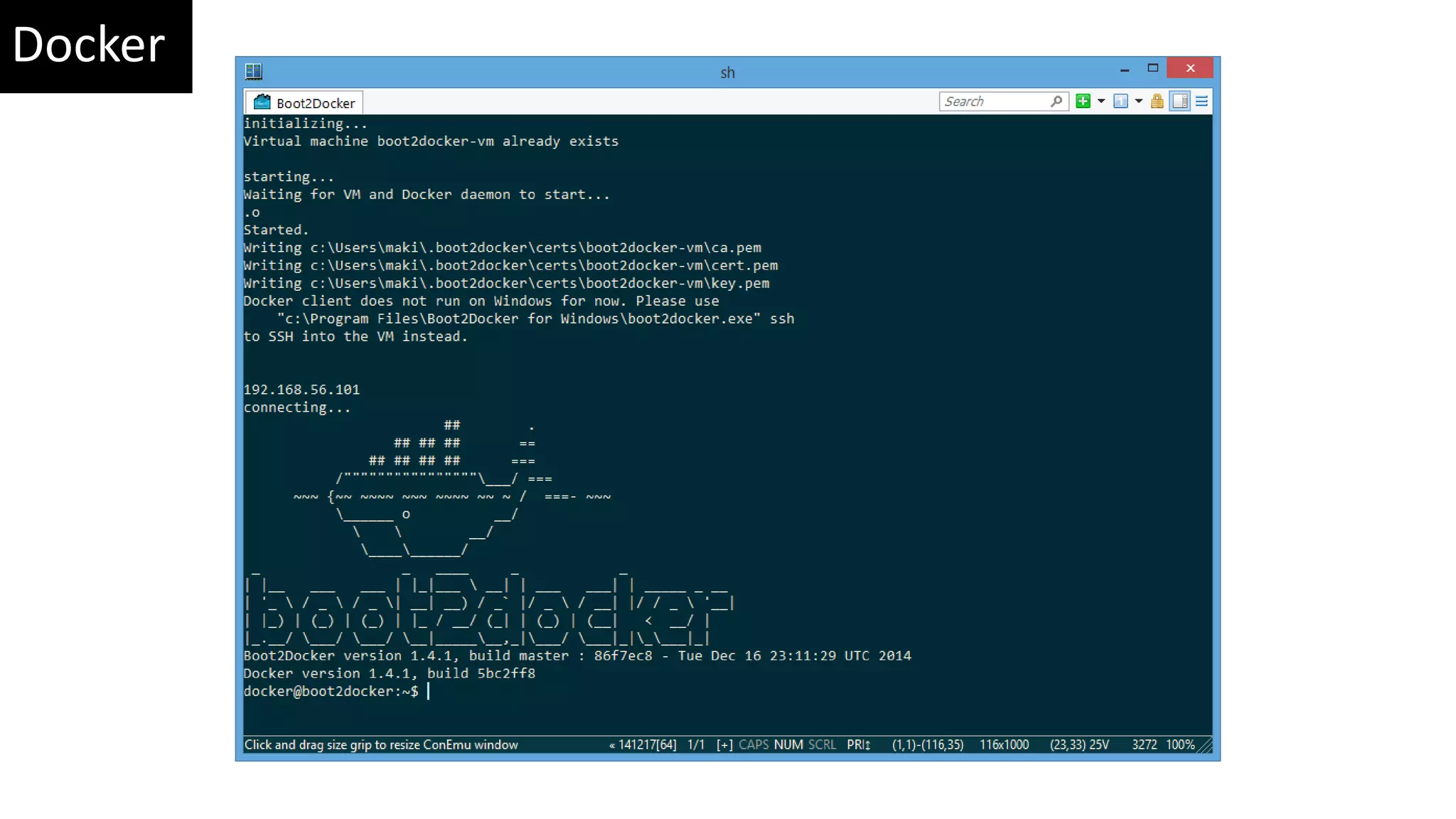 Docker 