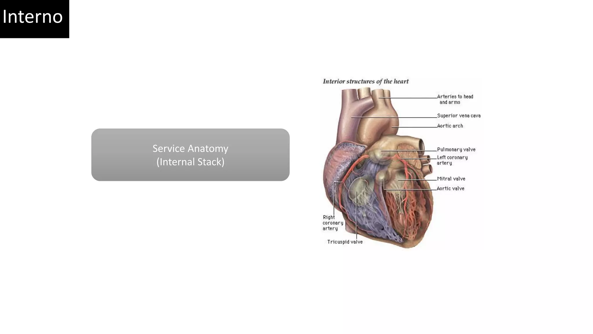 Service Anatomy (Internal Stack) Interno 