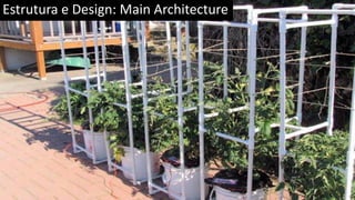 Estrutura e Design: Main Architecture
 