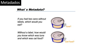 Metadados
 