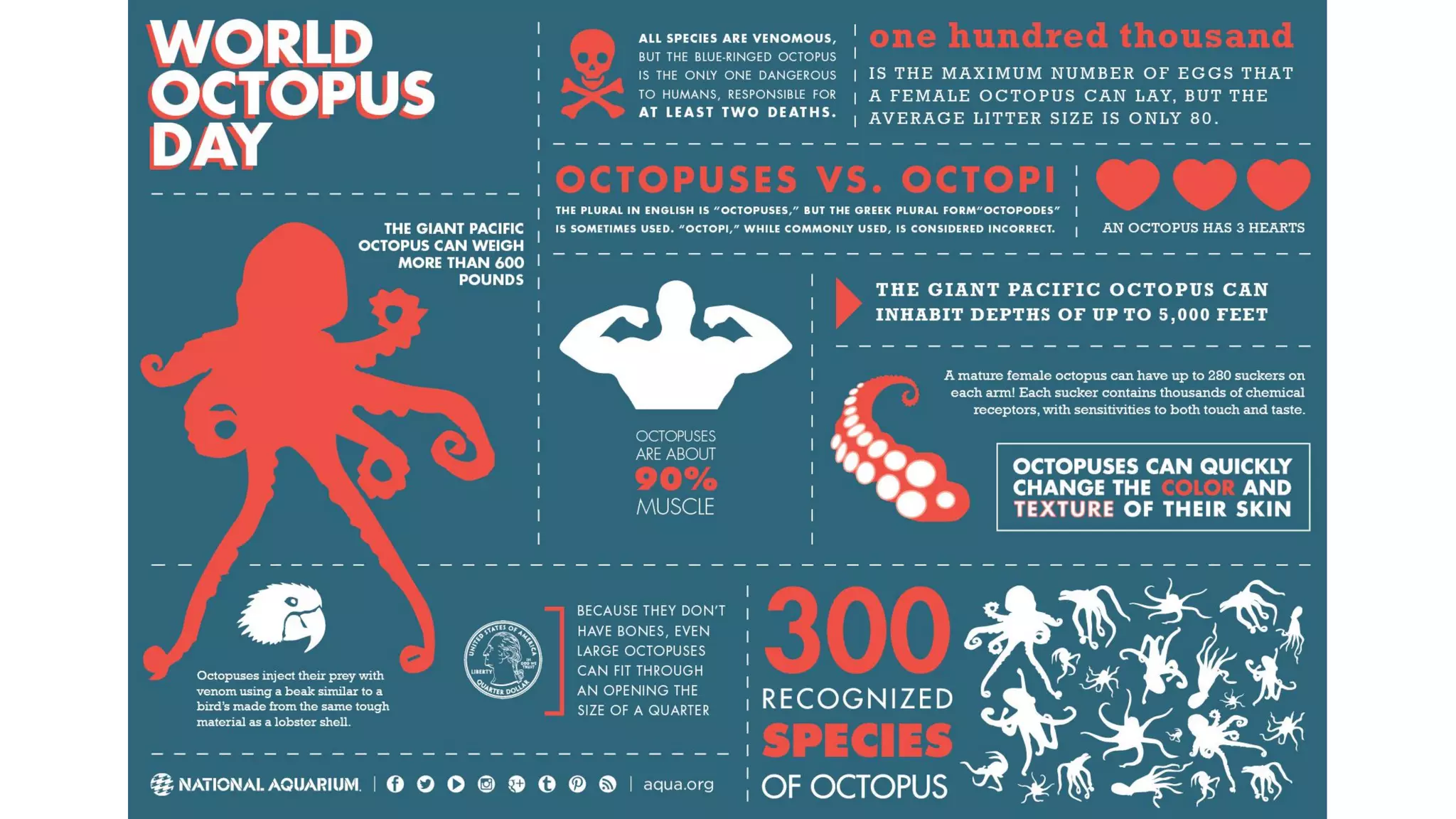 Data visualization - Beatriz Blanco - SENAC