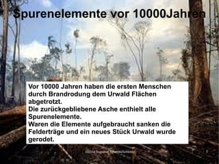 online Seminar Spurenelemente 5
Spurenelemente vor 10000Jahren
Vor 10000 Jahren haben die ersten Menschen
durch Brandrodung dem Urwald Flächen
abgetrotzt.
Die zurückgebliebene Asche enthielt alle
Spurenelemente.
Waren die Elemente aufgebraucht sanken die
Felderträge und ein neues Stück Urwald wurde
gerodet.
 