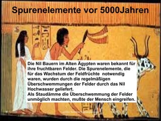 online Seminar Spurenelemente 6
Spurenelemente vor 5000Jahren
Die Nil Bauern im Alten Ägypten waren bekannt für
ihre fruchtbaren Felder. Die Spurenelemente, die
für das Wachstum der Feldfrüchte notwendig
waren, wurden durch die regelmäßigen
Überschwemmungen der Felder durch das Nil
Hochwasser geliefert.
Als Staudämme die Überschwemmung der Felder
unmöglich machten, mußte der Mensch eingreifen.
 