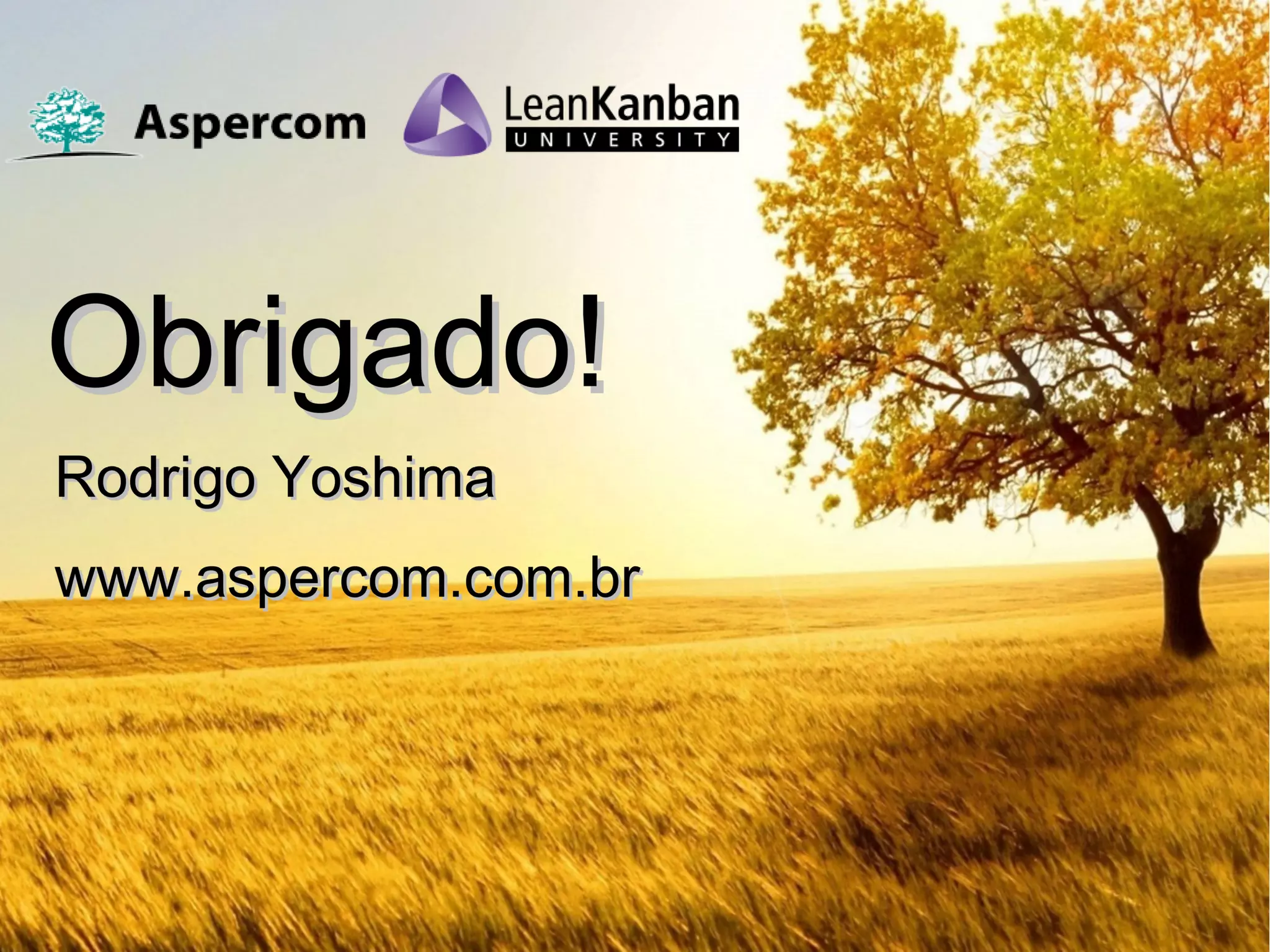 Workshop STATIK - Caipira Ágil 2017