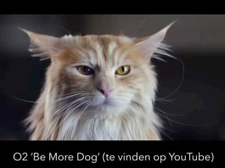 22
O2 ‘Be More Dog’ (te vinden op YouTube)
 