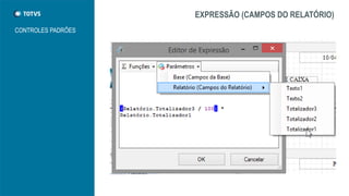 EXPRESSÃO (CAMPOS DO RELATÓRIO)
CONTROLES PADRÕES
 