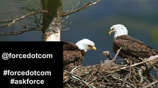 Double-click to enter title
Double-click to enter text
@forcedotcom
#forcedotcom
#askforce
 