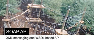 SOAP API
XML messaging and WSDL based API
 