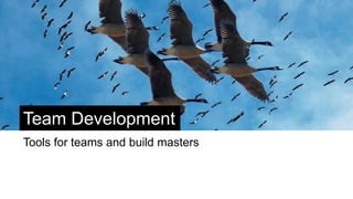 Continuous Integration
Source
Control
Sandbox
CI Tool
DE
Fail
Notifications
Development Testing
 