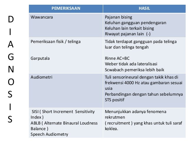 Program Konservasi Pendengaran