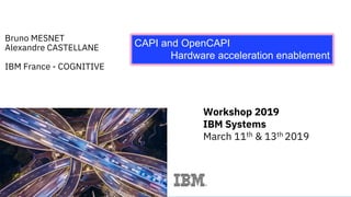CAPI and OpenCAPI Hardware acceleration enablement | PDF | Programming ...