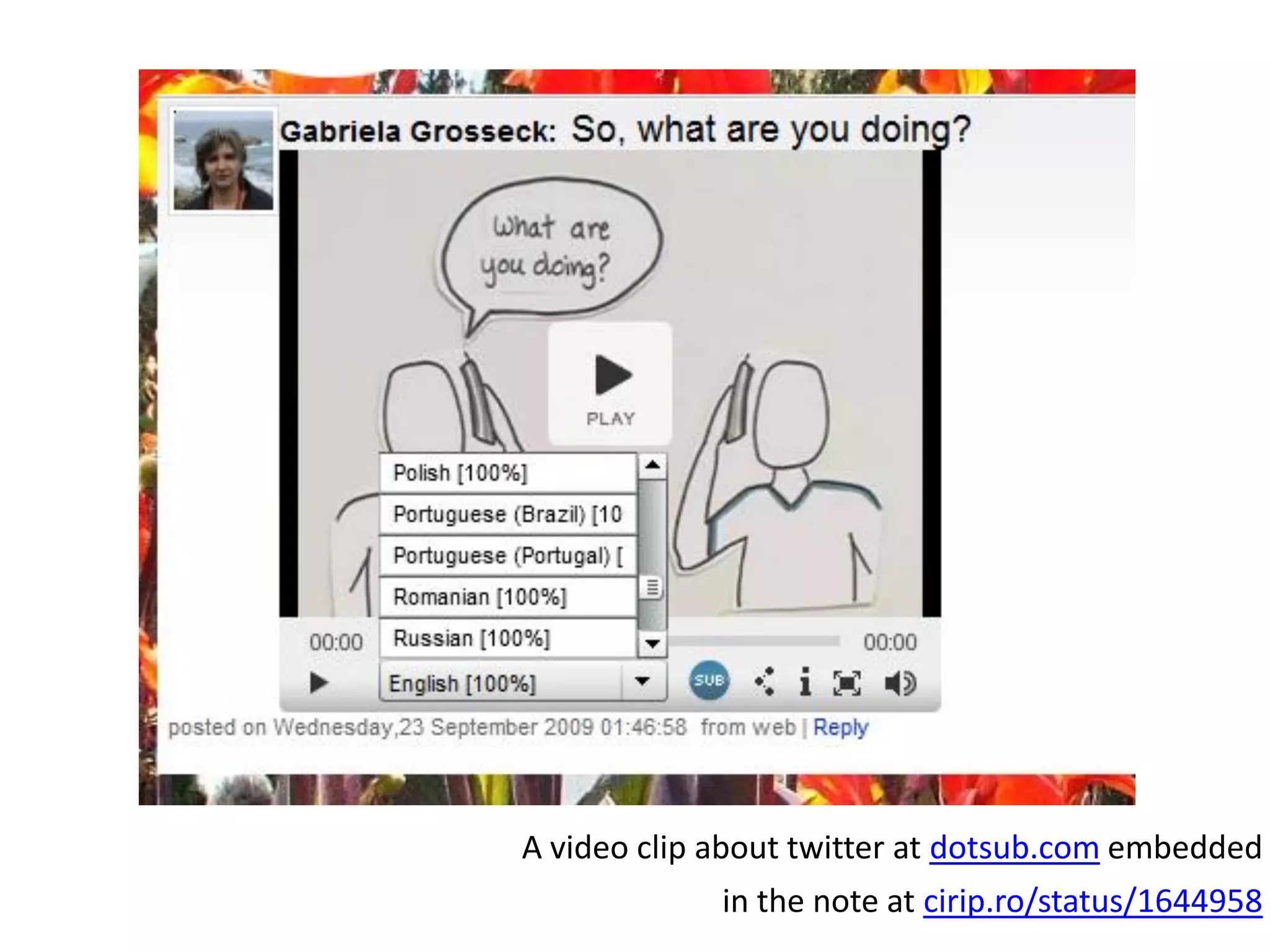 A video clip about twitter at  dotsub.com  embedded  in the note at  cirip.ro/status/1644958   