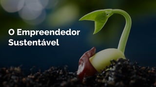 O Empreendedor
Sustentável
 