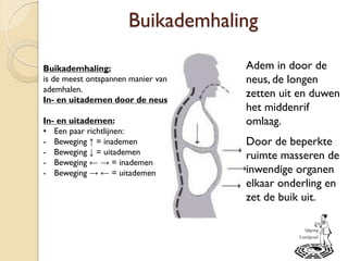 Buikademhaling
Adem in door de
neus, de longen
zetten uit en duwen
het middenrif
omlaag.
Door de beperkte
ruimte masseren de
inwendige organen
elkaar onderling en
zet de buik uit.
Buikademhaling:
is de meest ontspannen manier van
ademhalen.
In- en uitademen door de neus
In- en uitademen:
• Een paar richtlijnen:
- Beweging ↑ = inademen
- Beweging ↓ = uitademen
- Beweging ← → = inademen
- Beweging → ← = uitademen
 