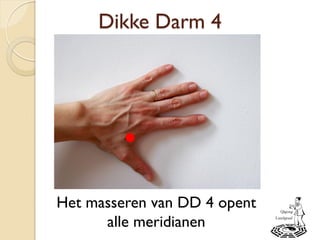 Dikke Darm 4
Het masseren van DD 4 opent
alle meridianen
 