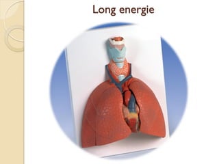 Long energie
 