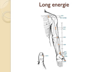Long energie
 