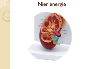 Nier energie
 