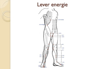 Lever energie
 