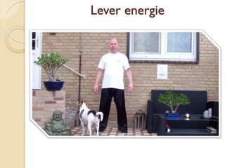 Lever energie
 