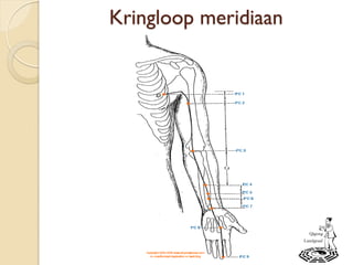 Kringloop meridiaan
 